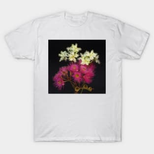 Corymbia Ficifolia with Brushbox T-Shirt